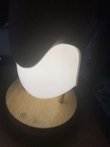 Taucan Bird Night Light Stepless Dimming Led Breathing Light Table Lamp photo review