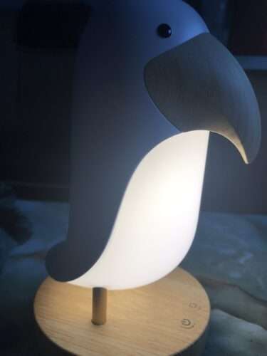Taucan Bird Night Light Stepless Dimming Led Breathing Light Table Lamp photo review
